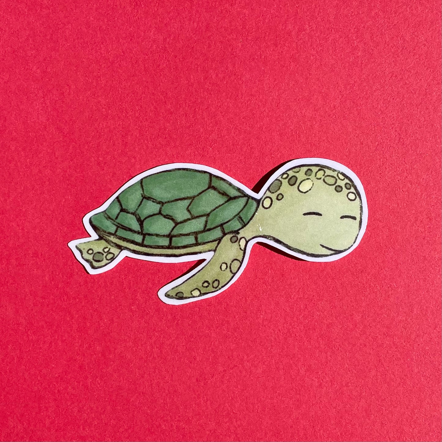 Turtle sticker