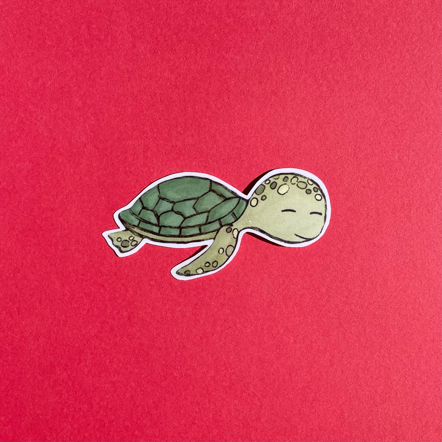 Turtle sticker