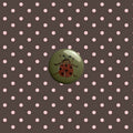 Ladybird small badge