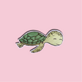 Turtle sticker