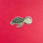Turtle sticker