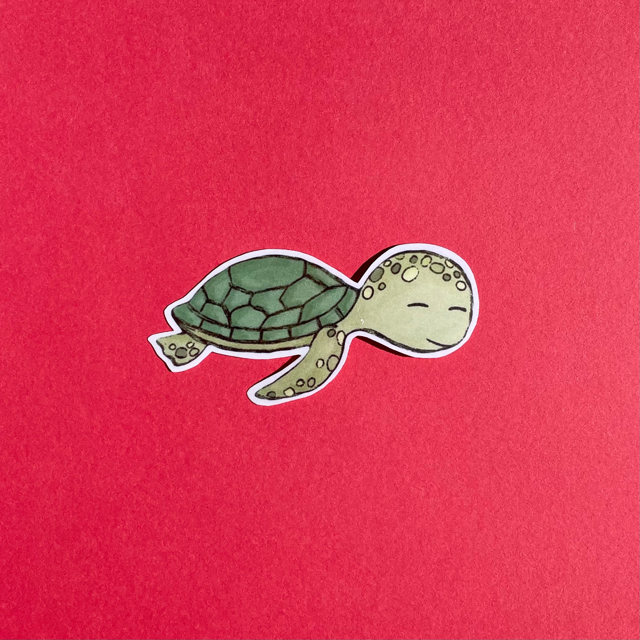 Turtle sticker